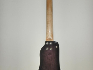 Rambler Travel Bass - back view