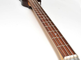 Rambler Custom Portable Bass - long view