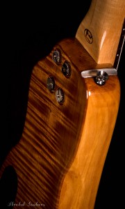 Honey Rambler Travel Bass back view