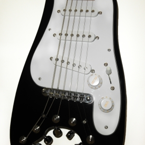 Strobelcaster in Black with White guard