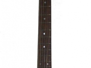 Custom Guitar Electric