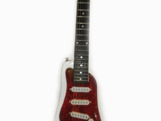 Professional Guitars