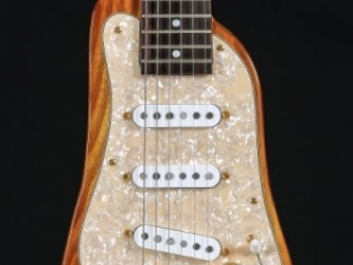Best Professional Electric Guitar