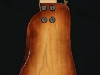 Ebony Electric Guitar