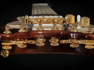 All Gold Hardware on a Custom STROBELCASTER Professional Electric Travel Guitar