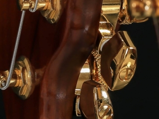 Gold Schaller machine heads on a STROBELCASTER portable guitar