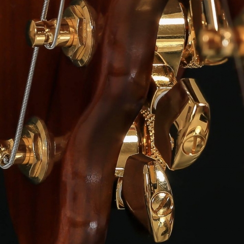 Gold Schaller machine heads on a STROBELCASTER portable guitar