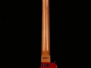 Professional Electrical Guitar